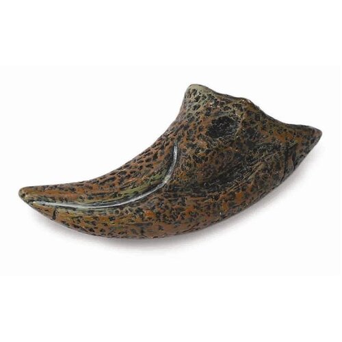 Collecta - Tyrannosaurus Rex - First Toe Replica 89280