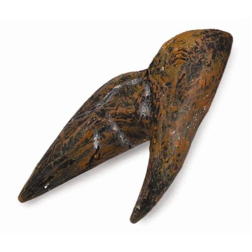 Collecta - Triceratops - Tooth Replica 89283