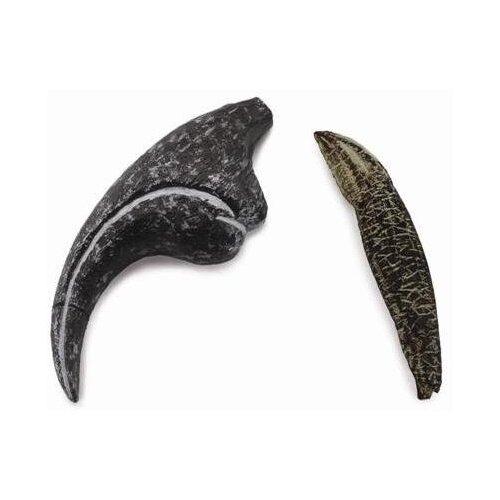 Collecta - Allosaurus - Tooth & Finger Claw Replica 89288