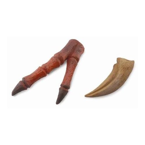 Collecta - Tyrannosaurus Rex - Claw & Hand Replica 89289