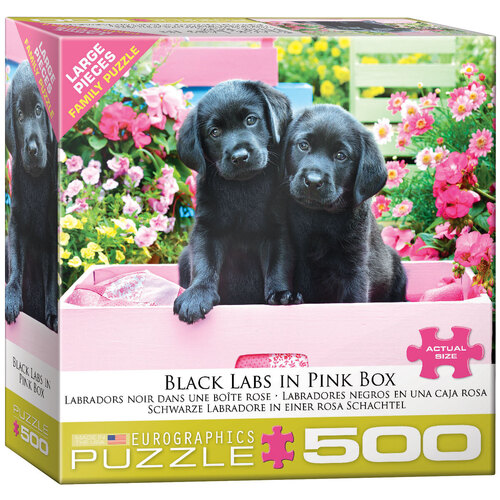 Eurographics - Black Labs in Pink Box Large Piece Puzzle 500pc