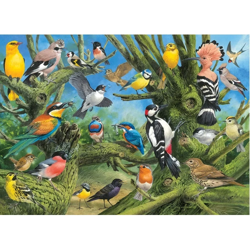 Eurographics - Garden Birds Puzzle 1000pc