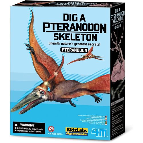 4M - Dig a Pteranadon Skeleton
