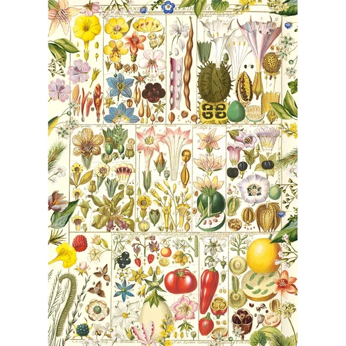Gibsons - RHS Botanical Bliss Puzzle 1000pc