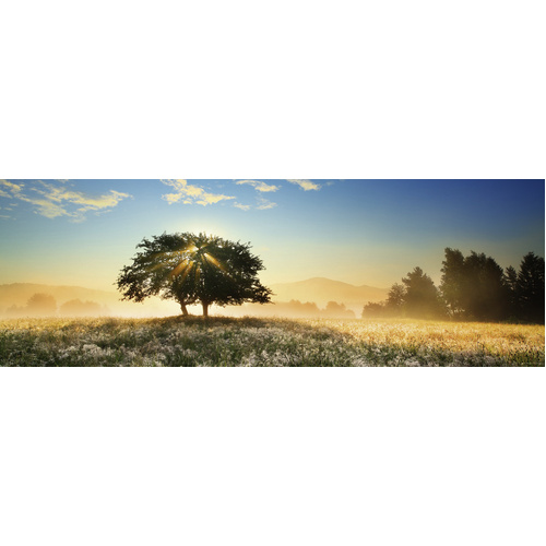 Heye - Von Humboldt, Play of Light Panorama Puzzle 1000pc