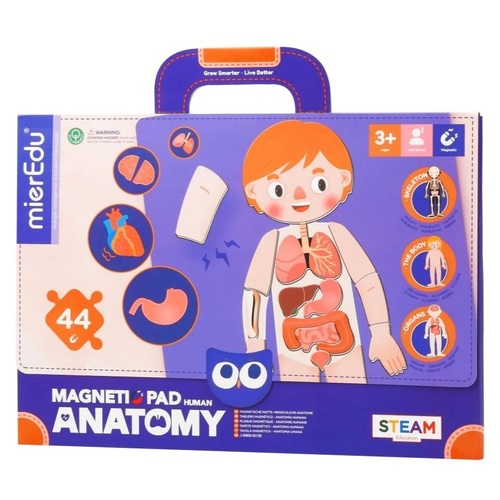 mierEdu - Magnetic Pad - Human Anatomy