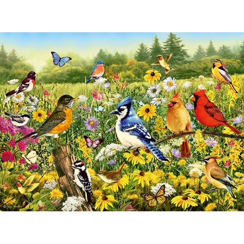Ravensburger - Birds in the Meadow Puzzle 500pc