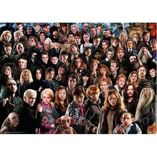 Ravensburger - Harry Potter Challenge Puzzle 1000pc