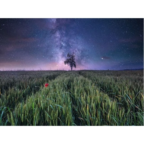 Ravensburger - Power of Nature Night Sky Over The Cornfield Puzzle 1500pc