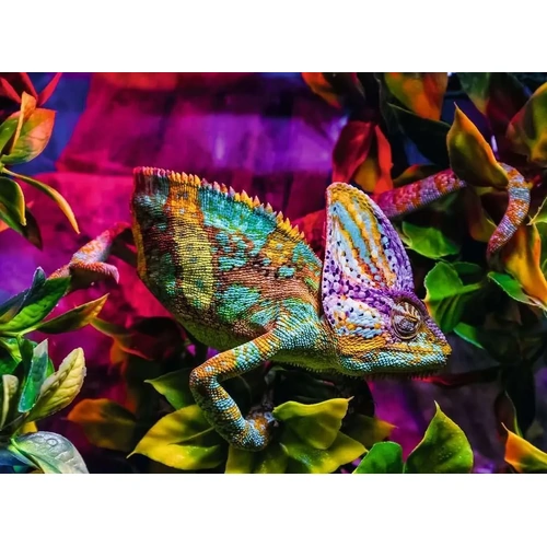 Ravensburger - Chameleon Puzzle 500pc