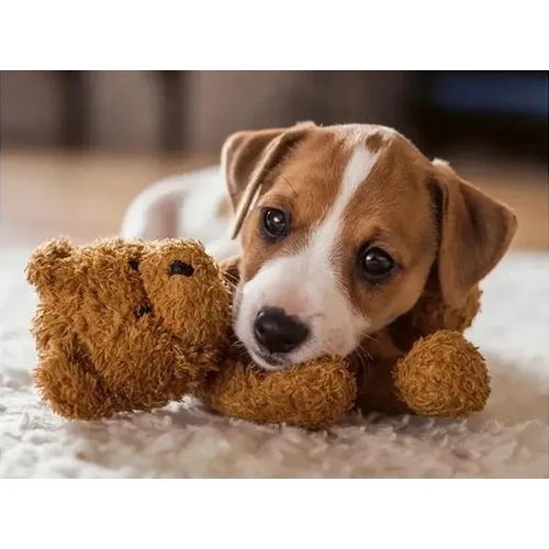 Ravensburger - Cuddle Buddies Puzzle 500pc