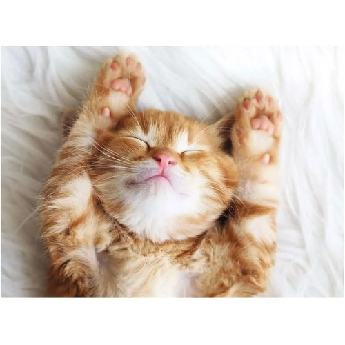 Ravensburger - Little Dreamer Puzzle 500pc