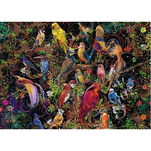 Ravensburger - Birds of Art Puzzle 1000pc