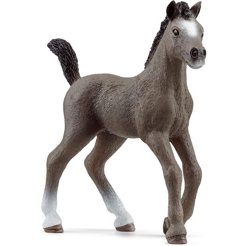 Schleich - Selle Francais Foal 13957