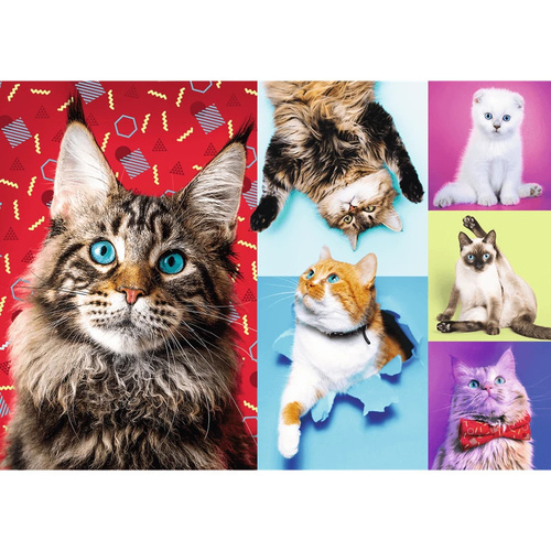Trefl - Happy Cats Puzzle 1000pc