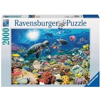 2000 or more pieces